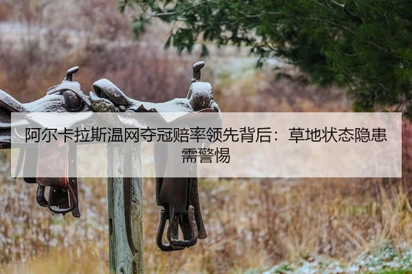 a-er-ka-la-si-wen-wang-duo-guan-pei-shuai-ling-xian-bei-hou-cao-di-zhuang-tai-yin-huan-xu-jing-ti-2-834.jpg